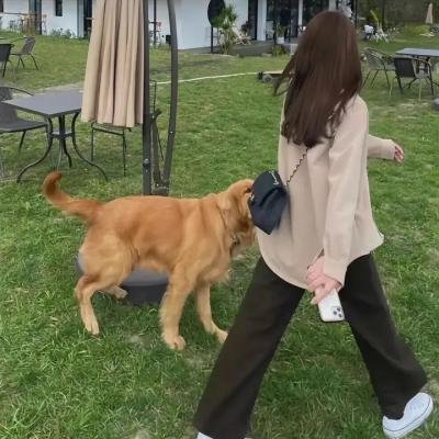 心心之火